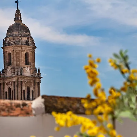 Hotel Feelathome Merced Málaga